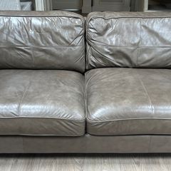 Two Leather Couches