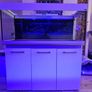 250L Fish tank Image 6