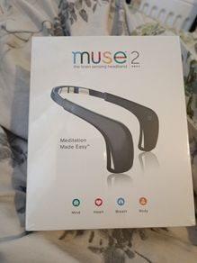Muse 2 meditation
