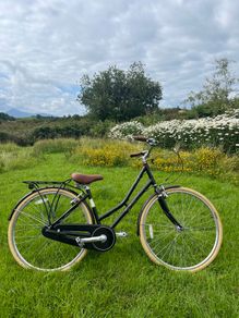 Ladies bike