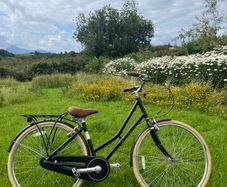 Ladies bike