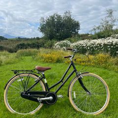 Ladies bike