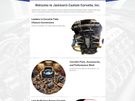 Custom 10 Page Lead Generation Website Only 995 Euro Image 3