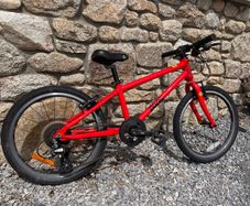 Frog 55 kids bike
