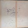 Acrilic painting Image 5