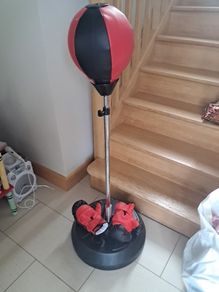 Boxing bag and gloves