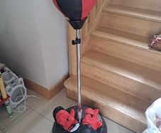 Boxing bag and gloves
