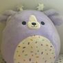 teddy Image 3