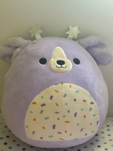 teddy