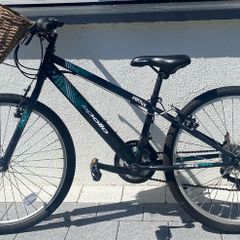 Apollo Vortice childs bike