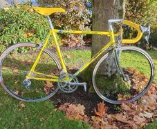 Greg Lemond 55.5cm 10 sp Campy Record