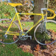 Greg Lemond 55.5cm 10 sp Campy Record