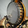 Vega Litlte Wonder Tenor banjo Image 8