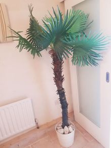 Artificial Palm Tree