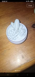 Candle cactus