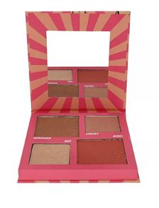 New Bronze/ Blush / Highlight Palette
