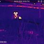 Thermal Monocular Hikmicro Lynx Pro Lh 15 Image 2