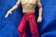 wrestler  The Great Khali