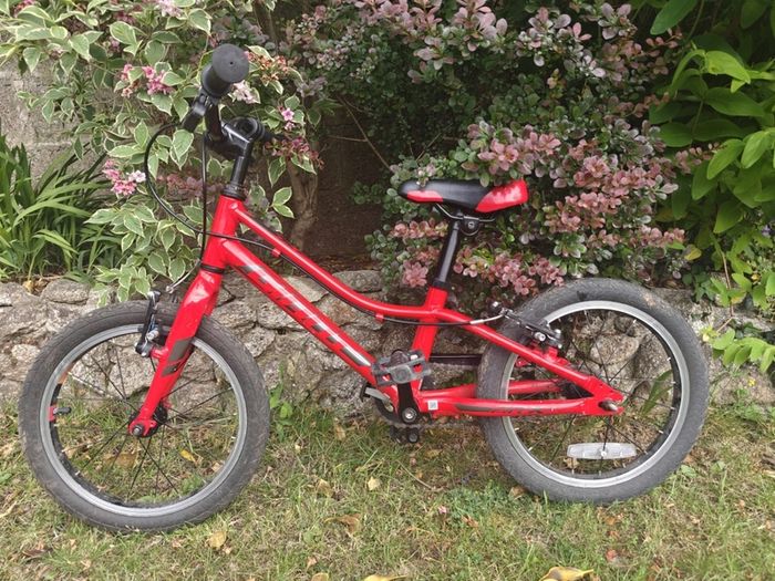 Giant ARX 16 Kids Bike