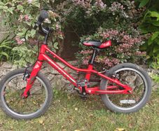 Giant ARX 16 Kids Bike