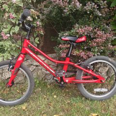 Giant ARX 16 Kids Bike