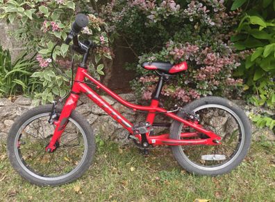 Giant ARX 16 Kids Bike