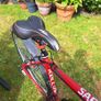Kelly Saphix Crossbike Image 5