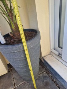 tall planter