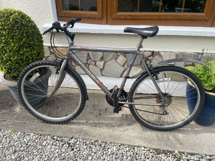 mountain bike adult size