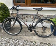 mountain bike adult size