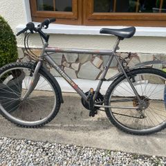 mountain bike adult size