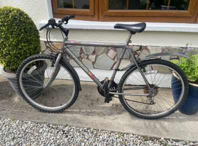 mountain bike adult size