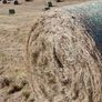 Round hay bale Image 2