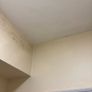 Mould Remover Image 4
