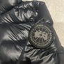 canada goose Image 4