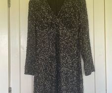 Mint Velvet Dress