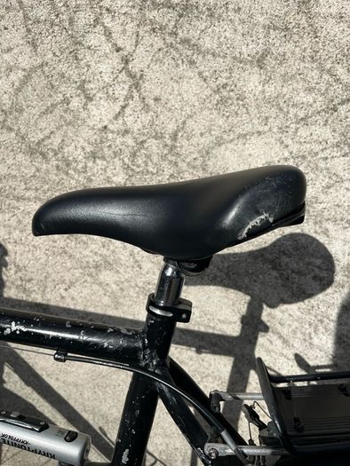 Adult Bike