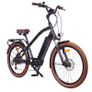 Cruiser EBike Image 2