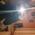 Bethbb42