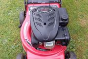 warrior petrol lawnmower