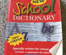 Chambers school dictionary