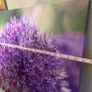 botanical art Image 3