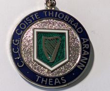 A Tipperary GAA medal