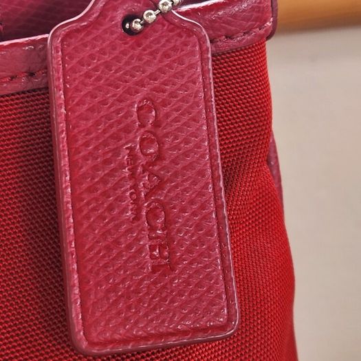 Coach crossbody bag (new)