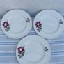 Arklow Pottery Autumn Rose Plates x 6 + 3 Image 5