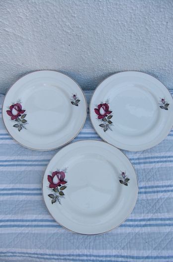 Arklow Pottery Autumn Rose Plates x 6 + 3