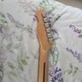 Squire telecaster deluxe Image 5