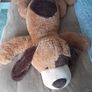 Big Dog Teddy Image 2