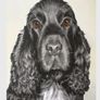 Custom Pet Portrait Paintings Image 5