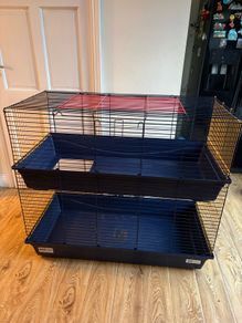 guinea pig cage